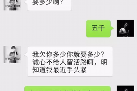 广州为什么选择专业追讨公司来处理您的债务纠纷？